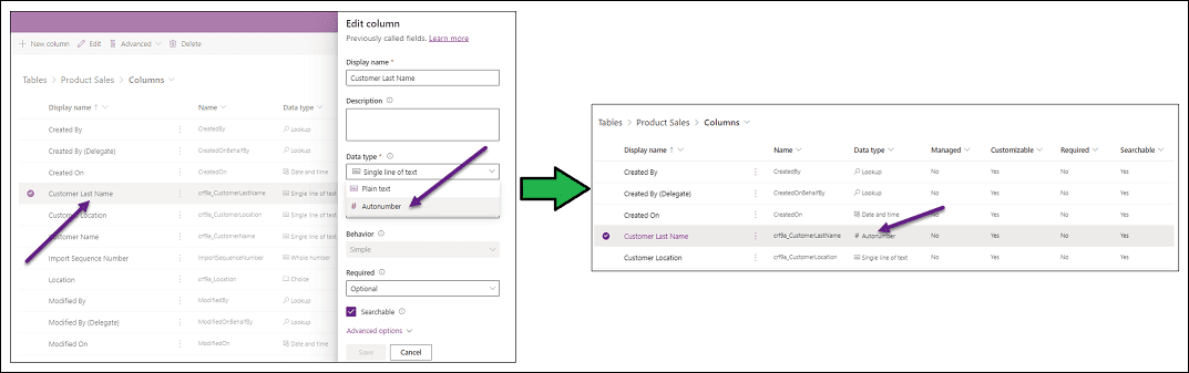 Dataverse Column Naming _ Solved: Rename Dataverse Table/Entity – TLWK