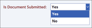Power Apps Dataverse Yes/No Field [With Examples]