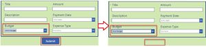 Show Hide Fields Based On Power Apps Dropdown Selection