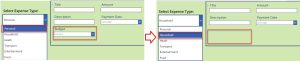 Show Hide Fields Based On Power Apps Dropdown Selection