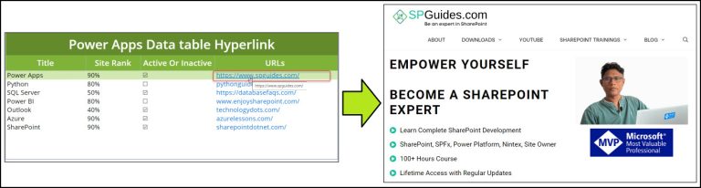Power Apps Data Table URL