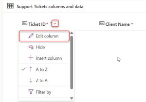 Change Dataverse Primary Column to Autonumber